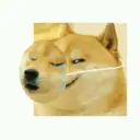 Límmiði