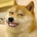 Límmiði