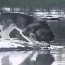 స్టికర్