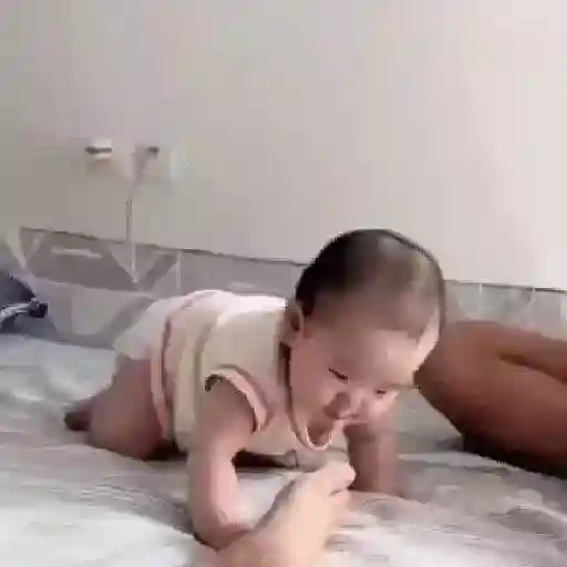 Figurinha