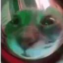 ملصق