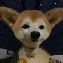 ملصق