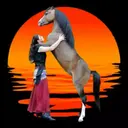 స్టికర్
