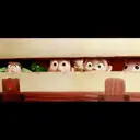 ஸ்டிக்கர்