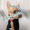 Samolepka