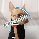Samolepka