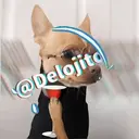 Samolepka