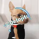 Samolepka
