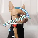 Samolepka