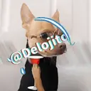 Samolepka