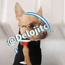 Samolepka