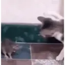 استیکر