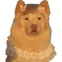 Samolepka