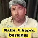 Samolepka