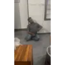 ملصق