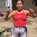 Stika