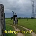 Figurinha