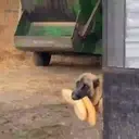 Կպչուն պիտակ