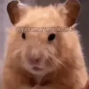 Կպչուն պիտակ