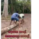 ស្ទីកเกอร์