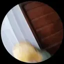 Pelekat