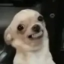 Կպչուն պիտակ