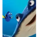 Adhesiu