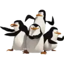 स्टिकर