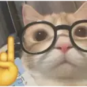 స్టికర్