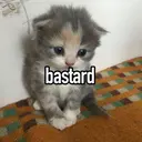 స్టికర్