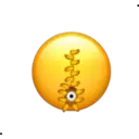 ස්ටිකර්