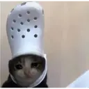 స్టికర్