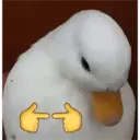 స్టికర్