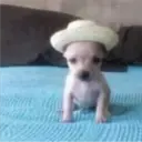 స్టికర్