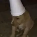 స్టికర్