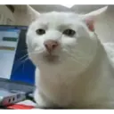 استیکر