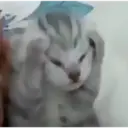 استیکر