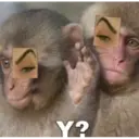 اسٹیکر