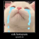 Çıkartma