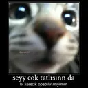 Çıkartma