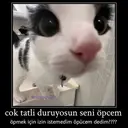 Çıkartma