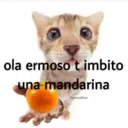 Stika