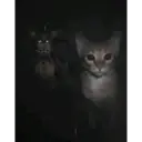 ملصق