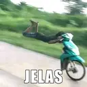 Stika