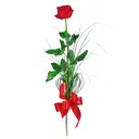 Կպչուն պիտակ