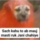 ਸਟਿਕਰ