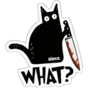 Stiker