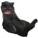 Стикер