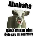 Naljepnica