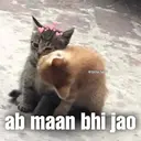 ملصق